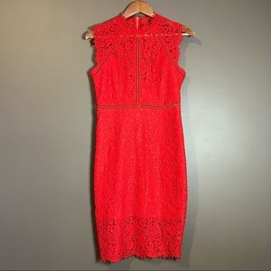 Bardot lace dress (lined)